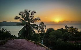 Horizon View